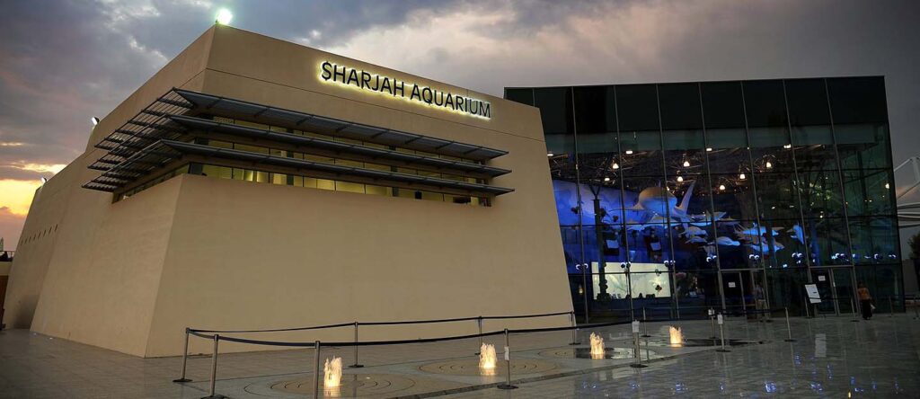 Sharjah Aquarium: An underwater world of wonder